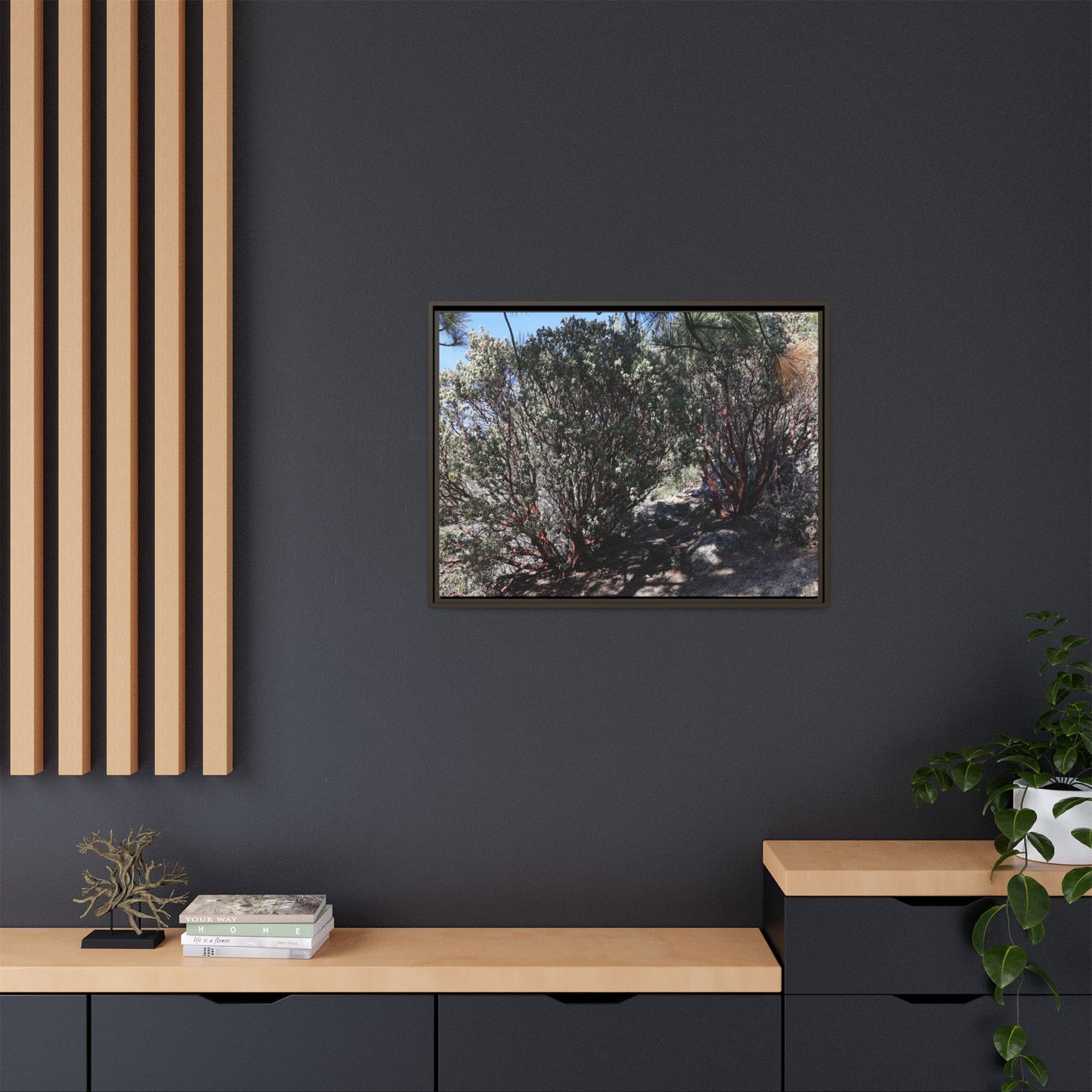Desert Trail Through Blooming Manzanita - Unique Stretched Canvas Wall Art
