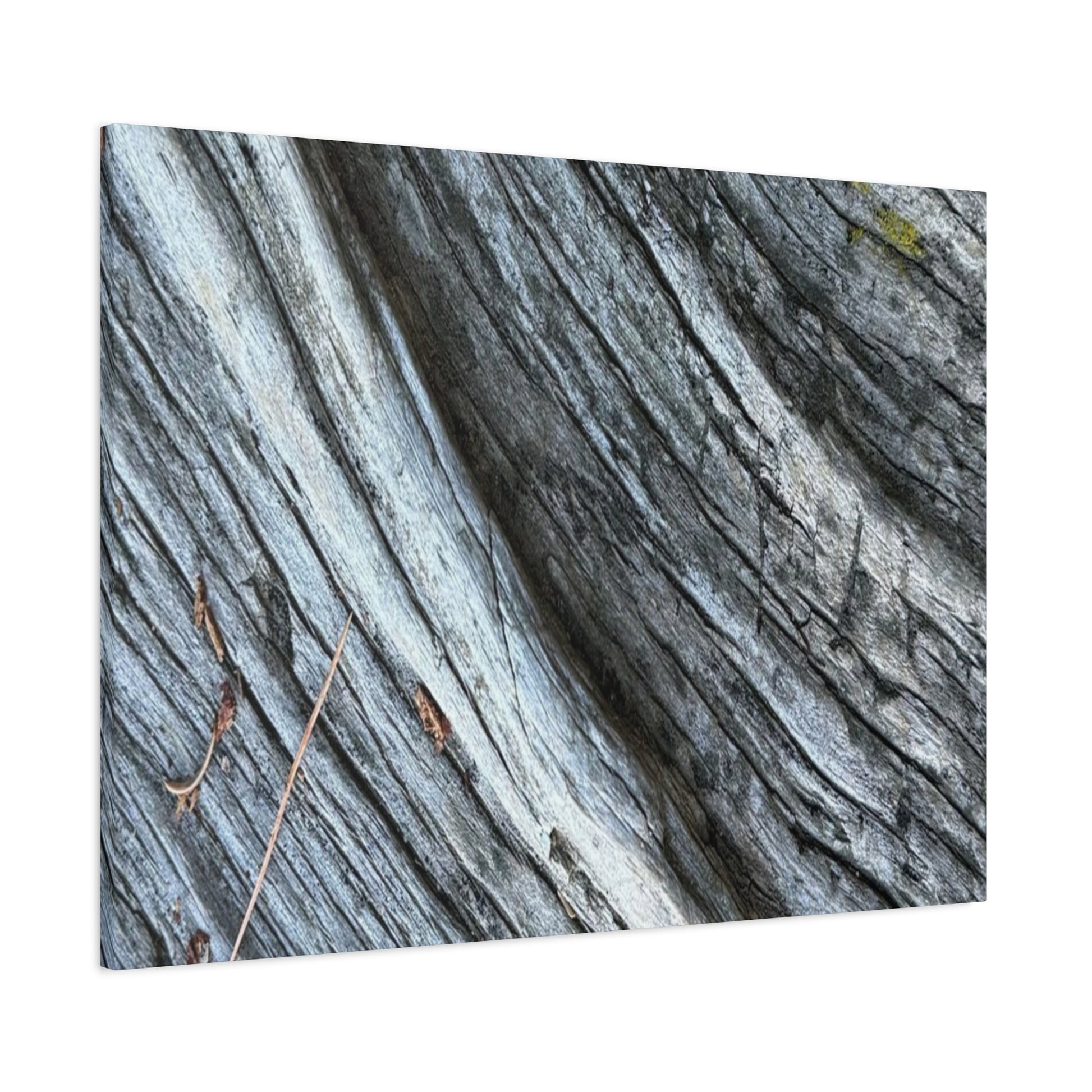 Weathered Wood Grain - Unique Frameless Canvas Wall Art - Art By Earth