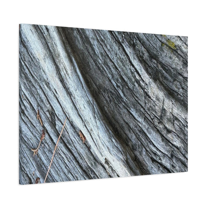 Weathered Wood Grain - Unique Frameless Canvas Wall Art - Art By Earth