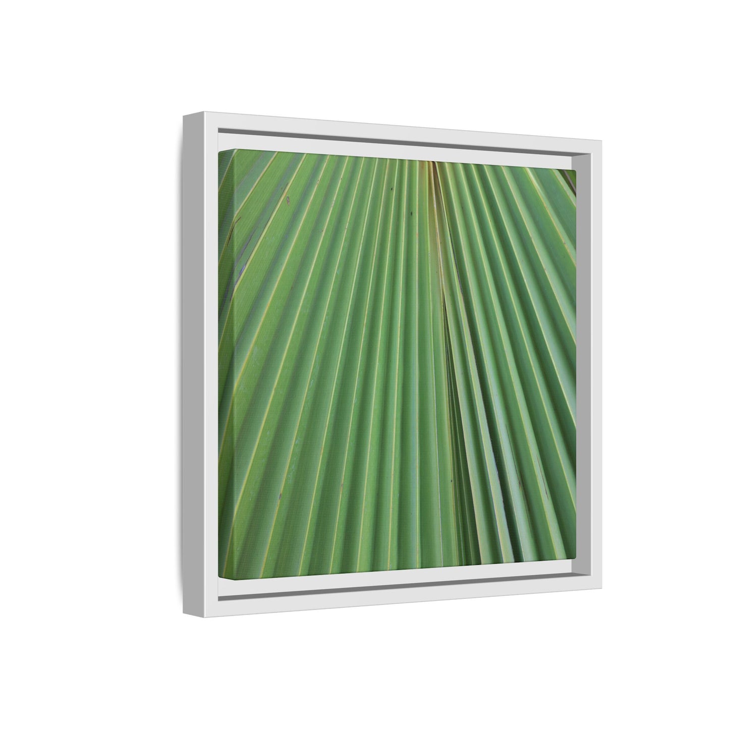 Verdant Veins - Unique Stretched Canvas Wall Art - Art By Earth