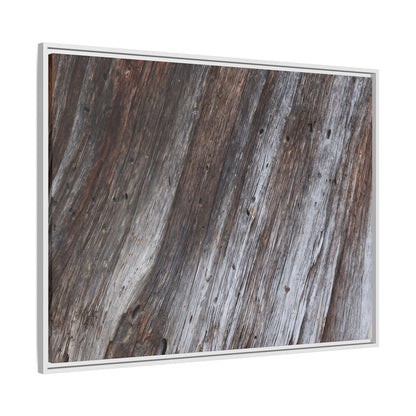 Aged Timber Texture - Unique Stretched Canvas Wall Art - Art By Earth