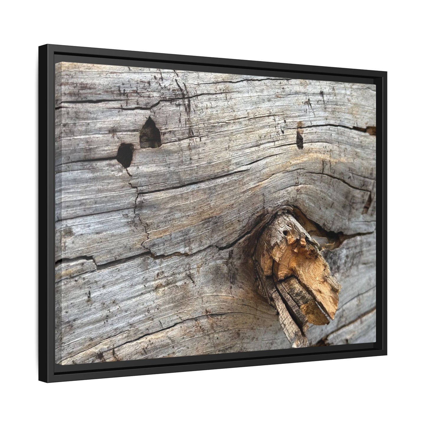 Weathered Wood Texture - Unique Stretched Canvas Wall Art - Art By Earth