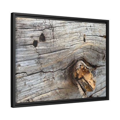Weathered Wood Texture - Unique Stretched Canvas Wall Art - Art By Earth