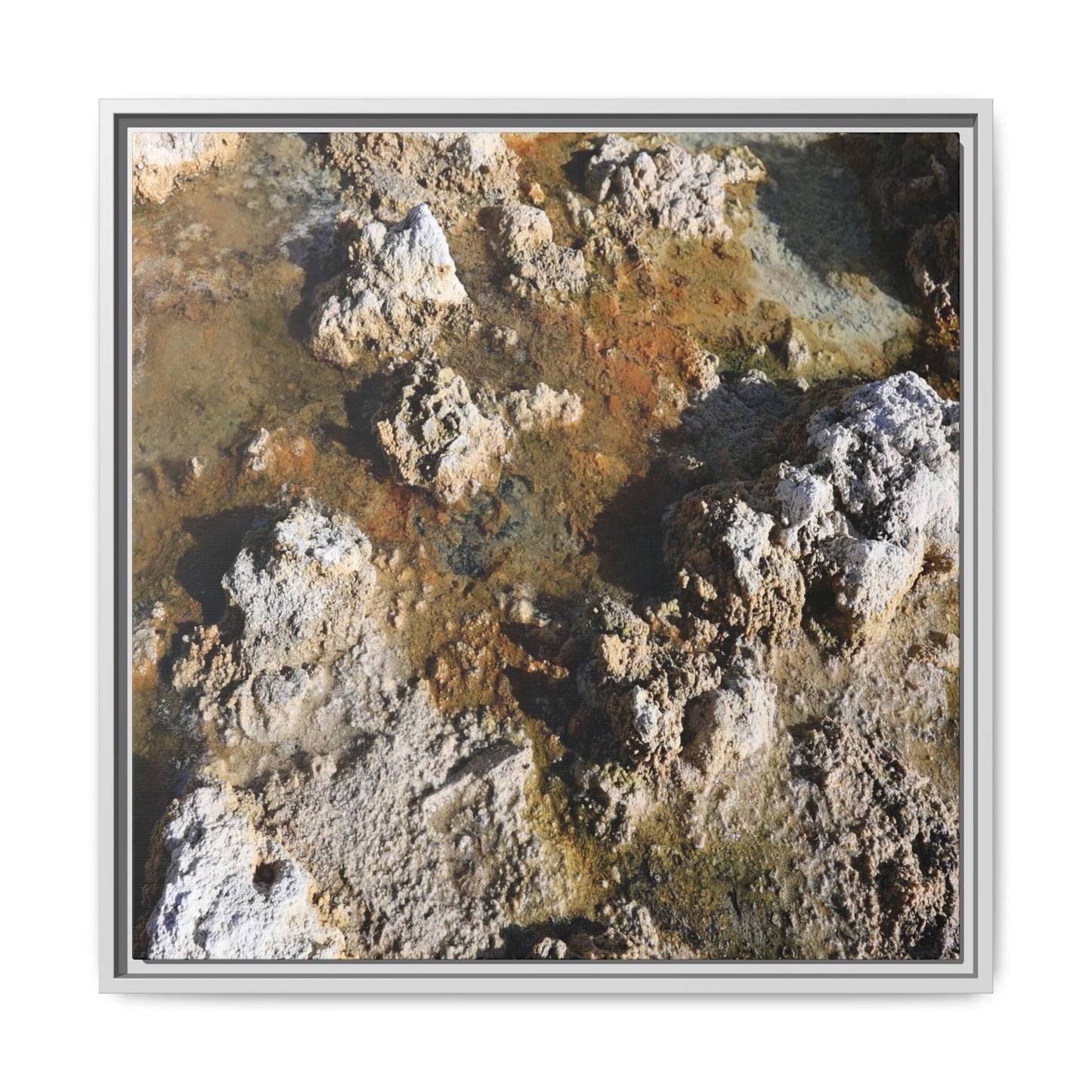 Textural Metamorphosis - Unique Stretched Canvas Wall Art