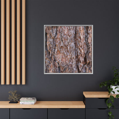 Woody Layers - Unique Stretched Canvas Wall Art - Art By Earth