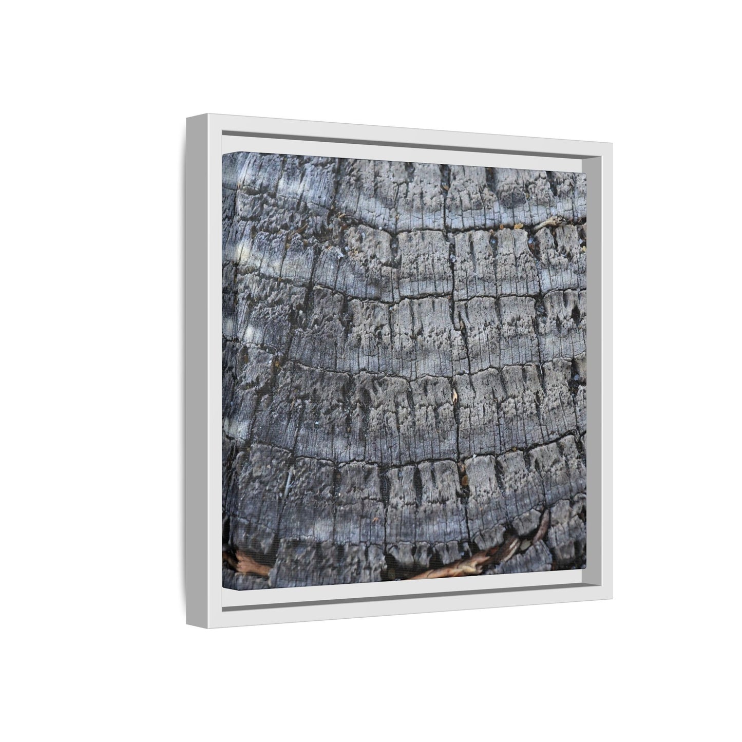 Charred Memories - Unique Stretched Canvas Wall Art - Art By Earth