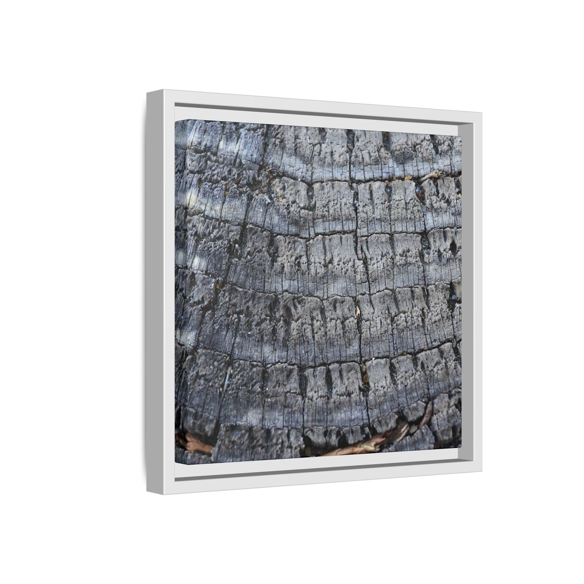 Charred Memories - Unique Stretched Canvas Wall Art - Art By Earth