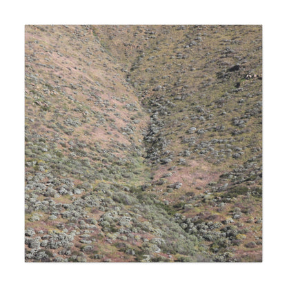 Desert Hillside - Unique Frameless Canvas Wall Art - Art By Earth