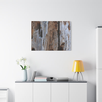 Timber Tapestry - Unique Frameless Canvas Wall Art - Art By Earth