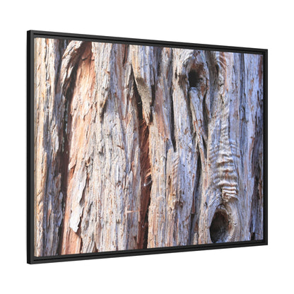 Nature's Grain - Unique Stretched Canvas Wall Art - Art By Earth