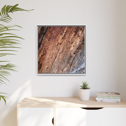 Time's Mark - Unique Stretched Canvas Wall Art - Art By Earth