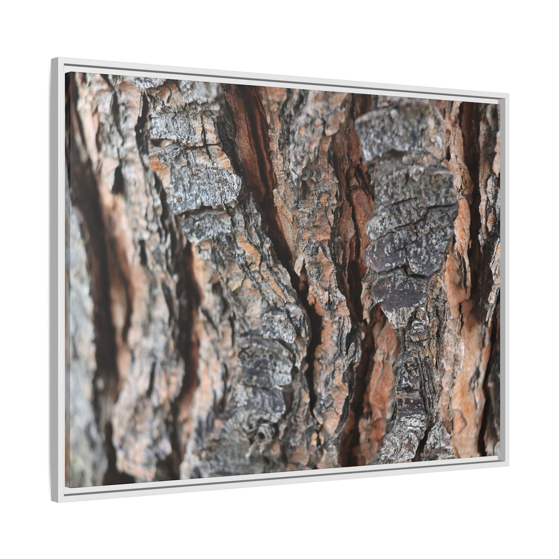 Fractured Nature - Unique Stretched Canvas Wall Art - Art By Earth