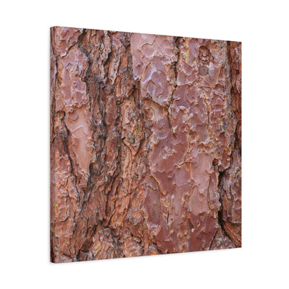 Rusty Textures - Unique Frameless Canvas Wall Art - Art By Earth