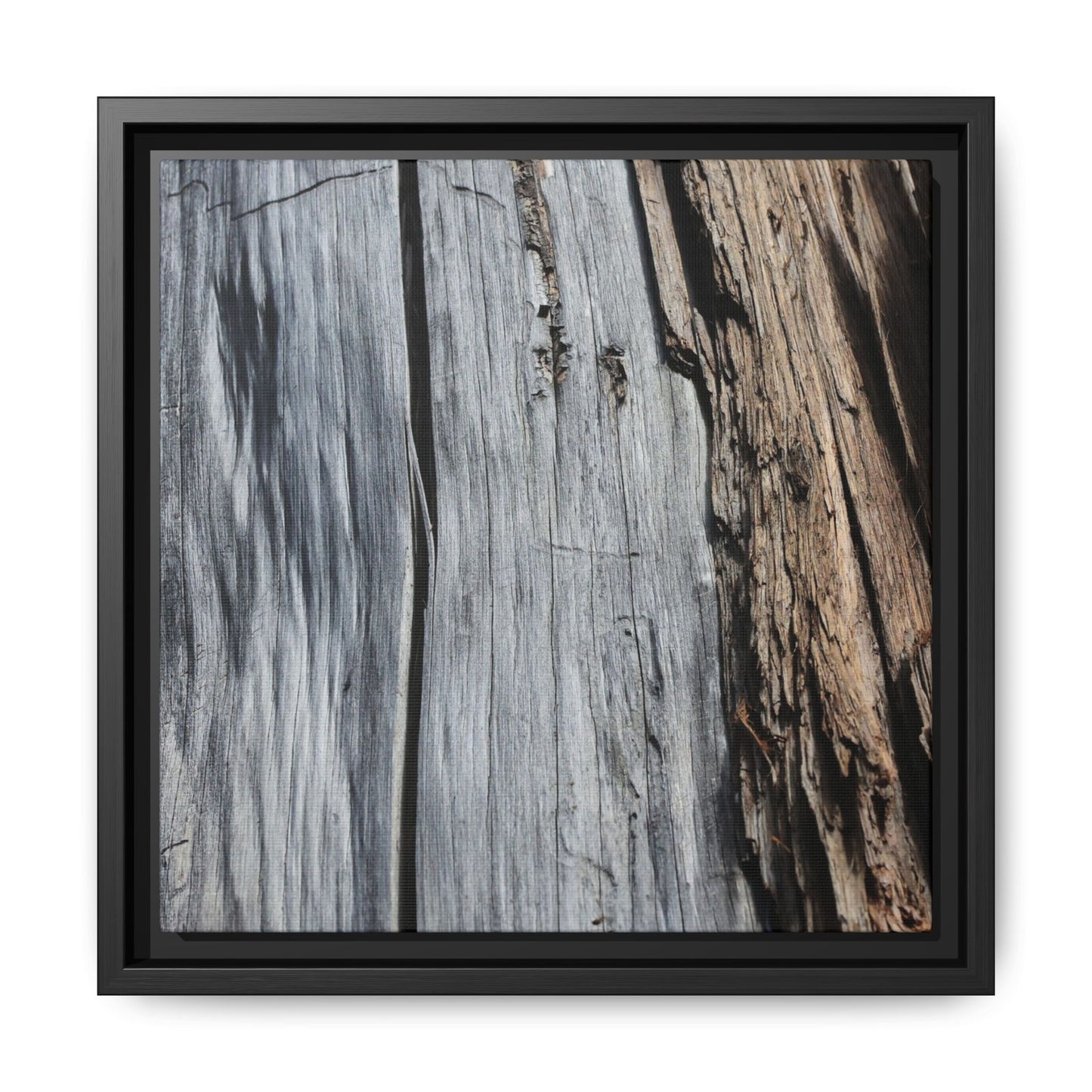 Wood's Lament - Unique Stretched Canvas Wall Art - Art By Earth