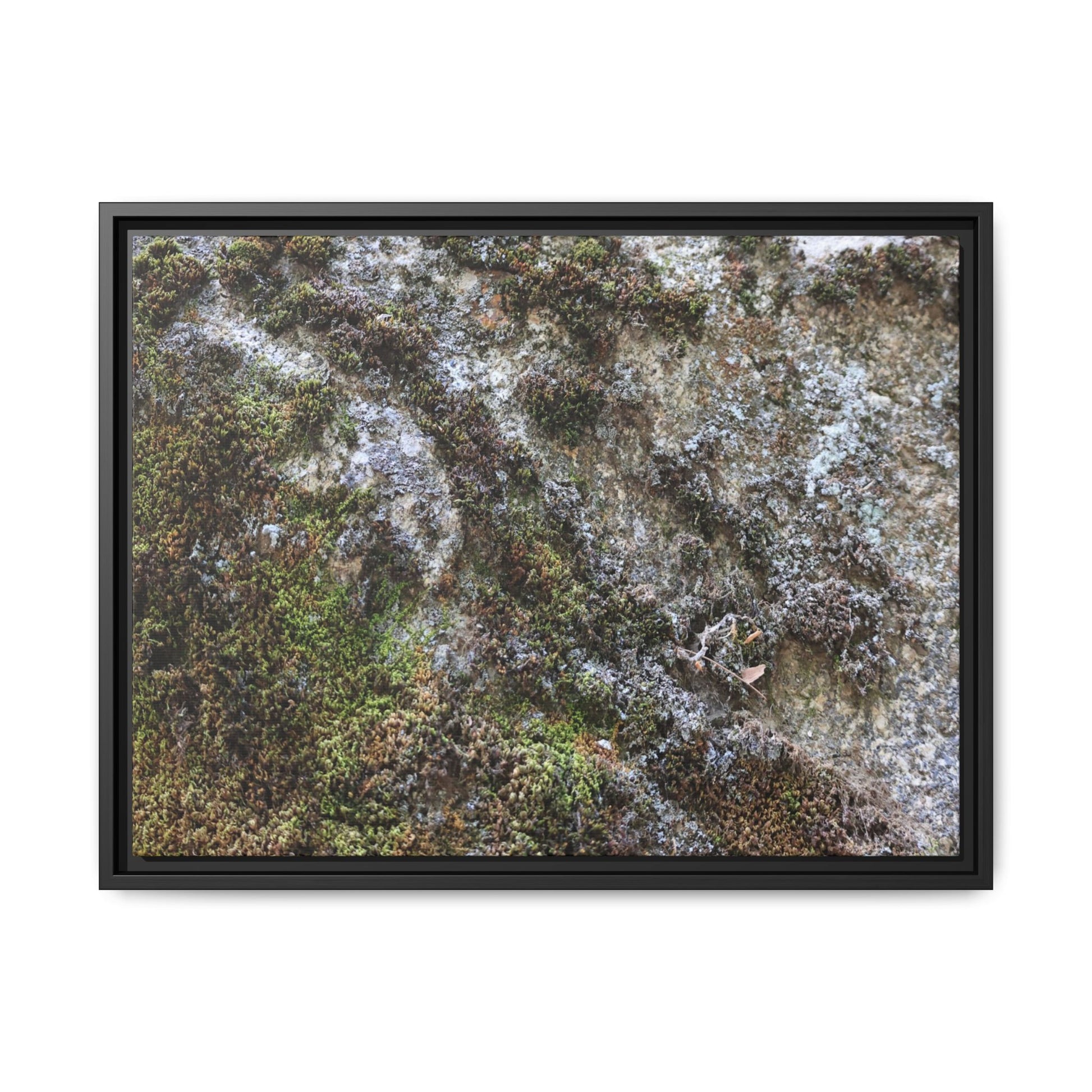 Mossy Whispers - Unique Stretched Canvas Wall Art - Art By Earth
