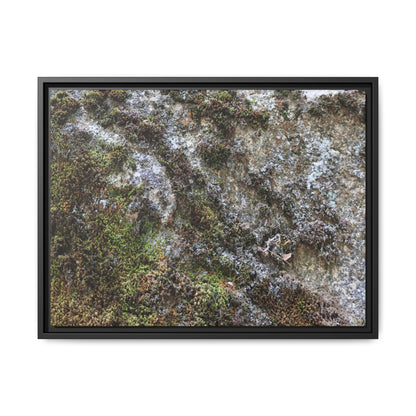 Mossy Whispers - Unique Stretched Canvas Wall Art - Art By Earth