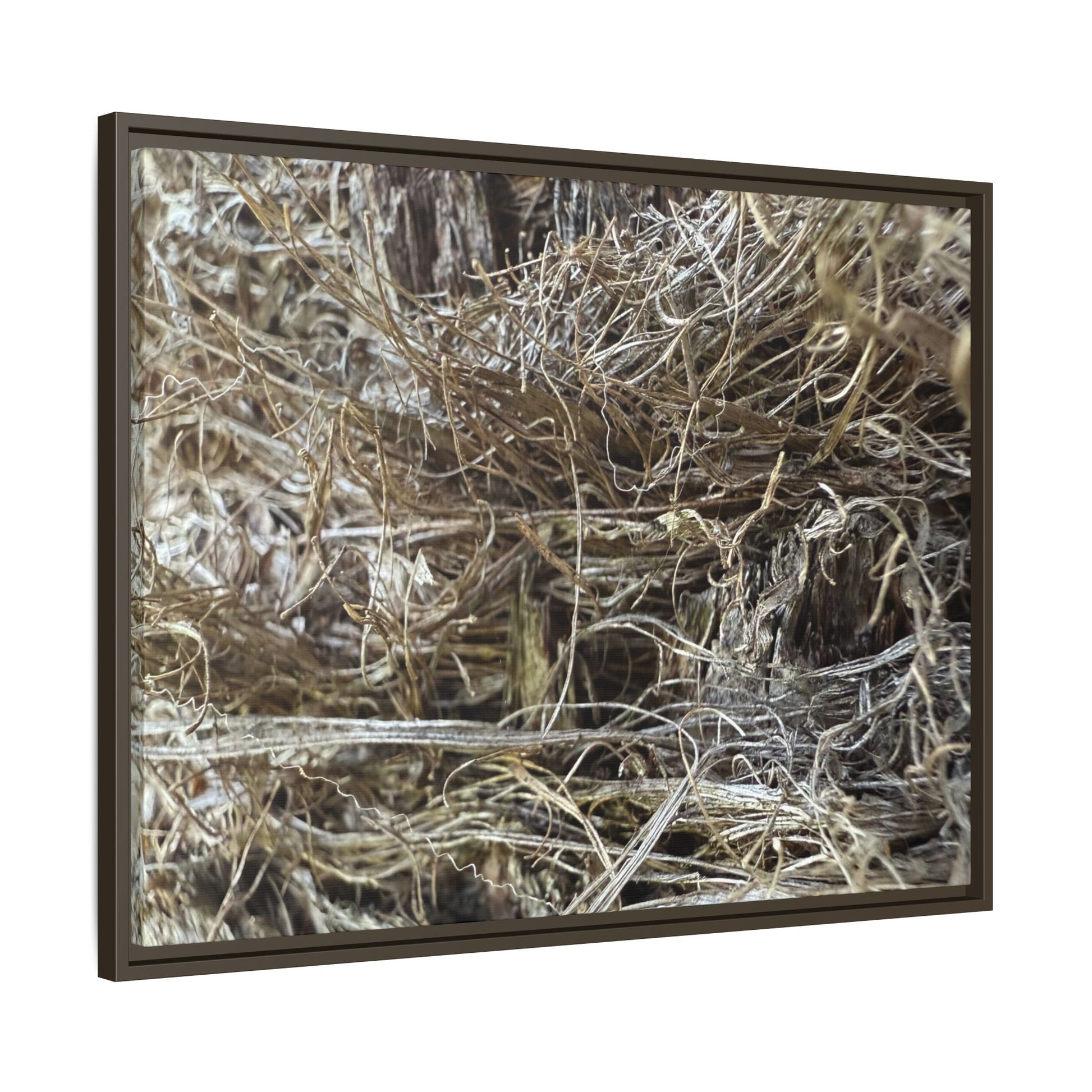 Tangled Whispers of Autumn - Unique Stretched Canvas Wall Art - Art By Earth