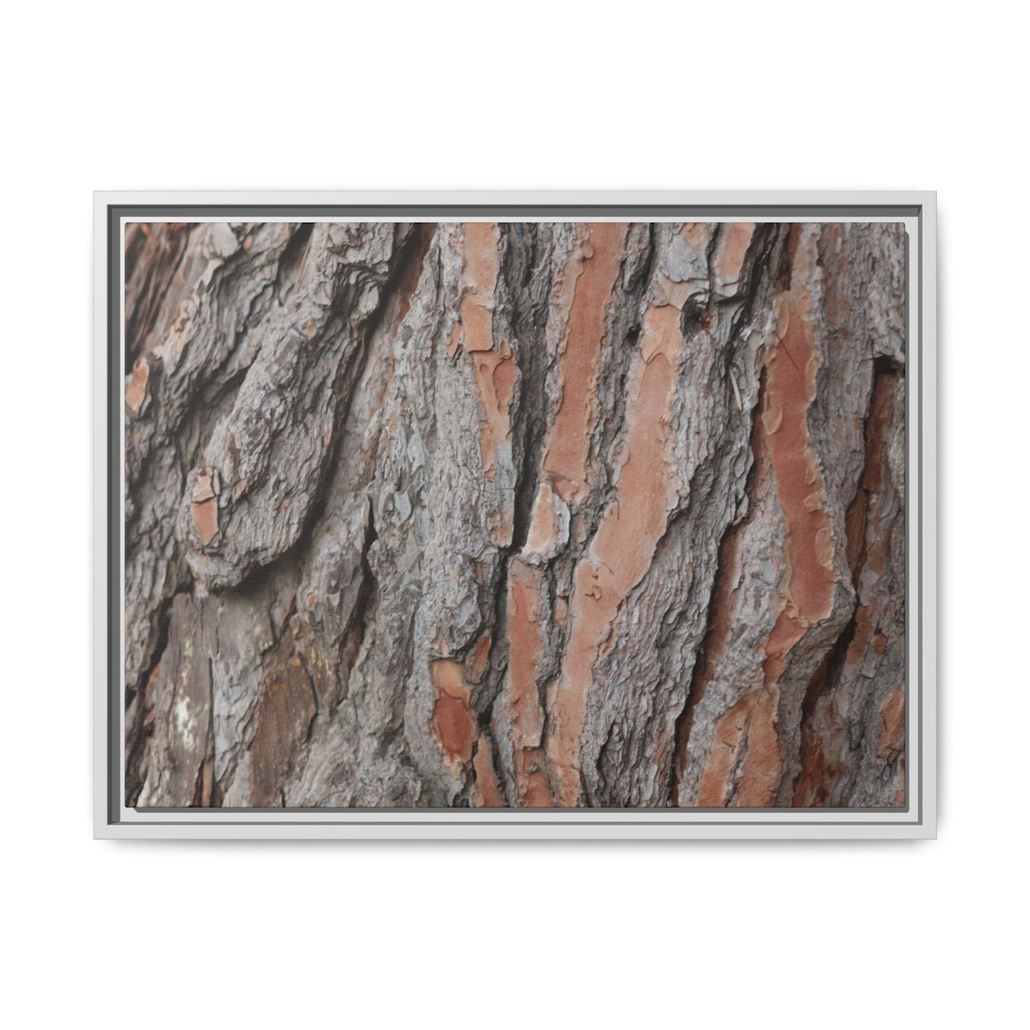 Woodland Layers - Unique Stretched Canvas Wall Art - Art By Earth