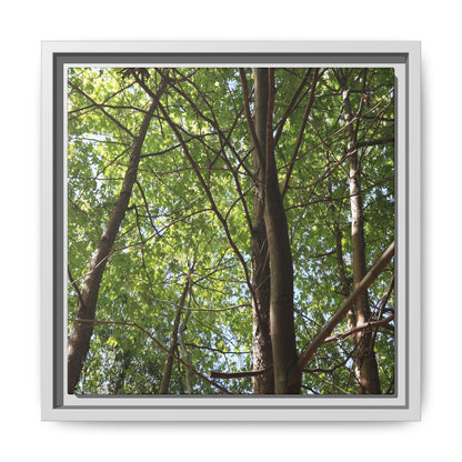 Forest Branches - Unique Stretched Canvas Wall Art