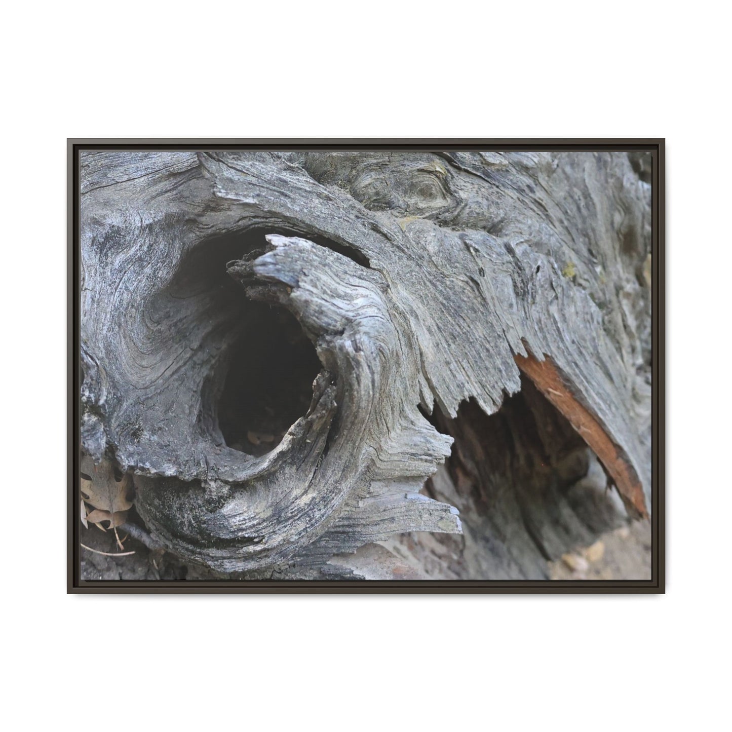 Bark's Labyrinth - Unique Stretched Canvas Wall Art - Art By Earth