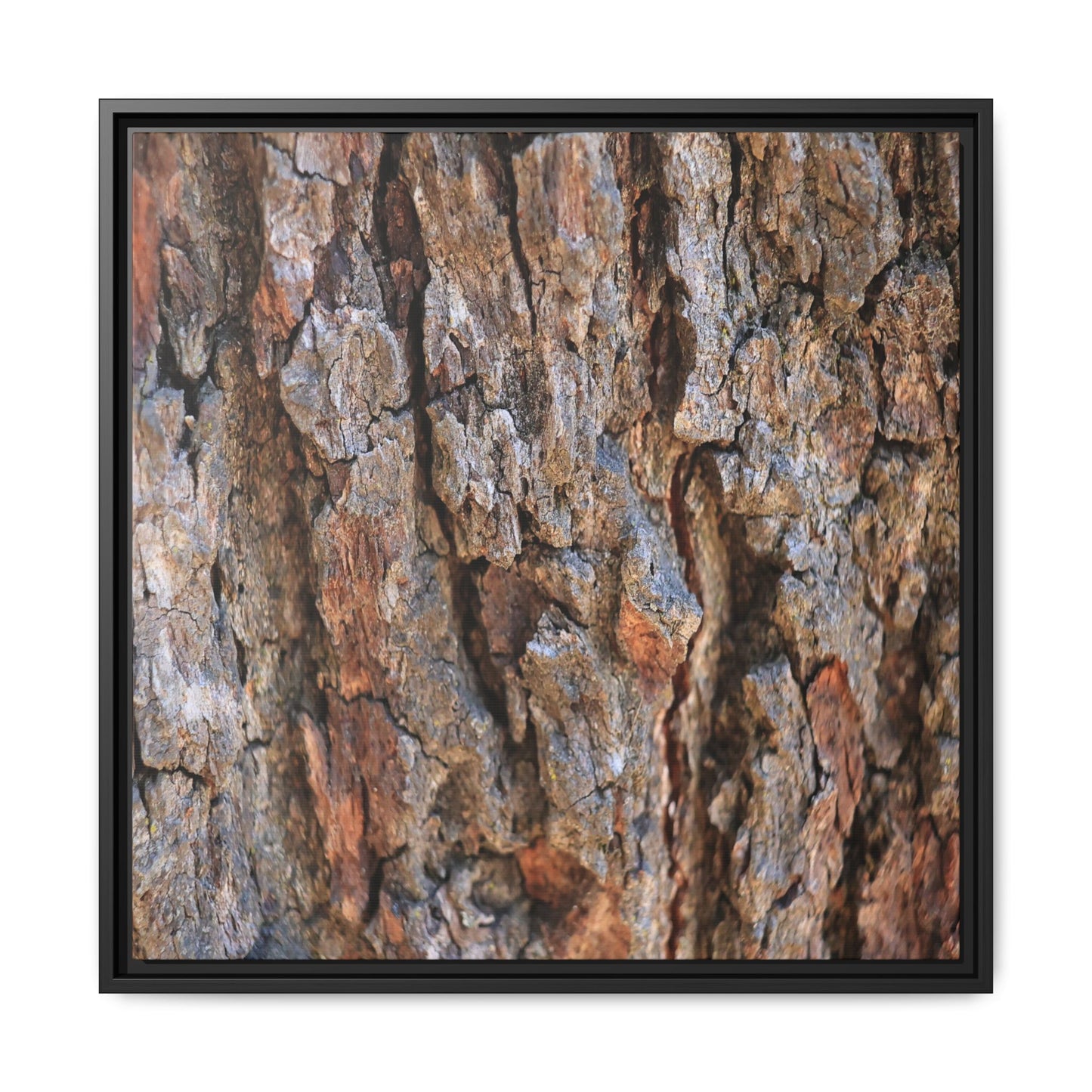 Craggy Textures - Unique Stretched Canvas Wall Art - Art By Earth