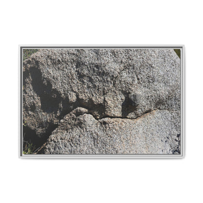 Stone Skull in Desert - Unique Stretched Canvas Wall Art