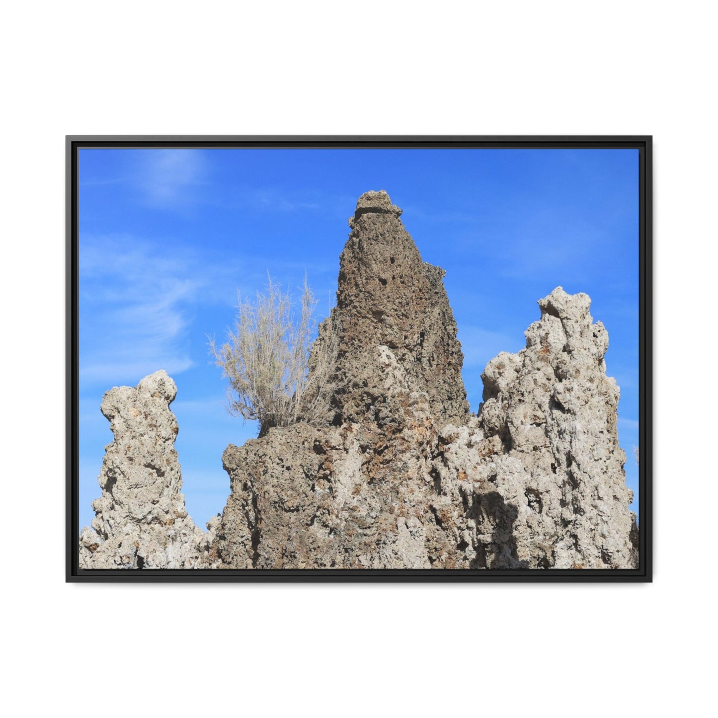 Silent Sentinels - Unique Stretched Canvas Wall Art