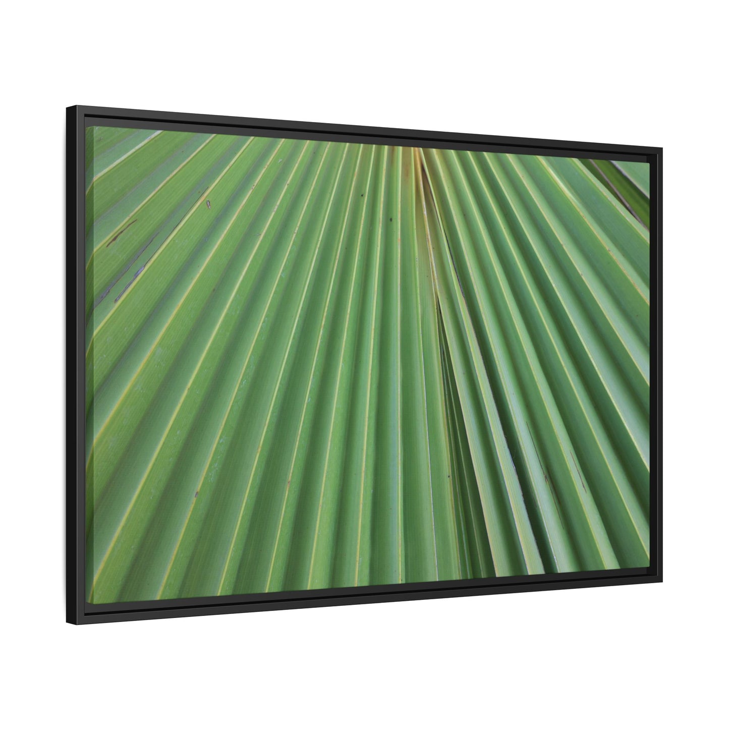 Verdant Veins - Unique Stretched Canvas Wall Art - Art By Earth