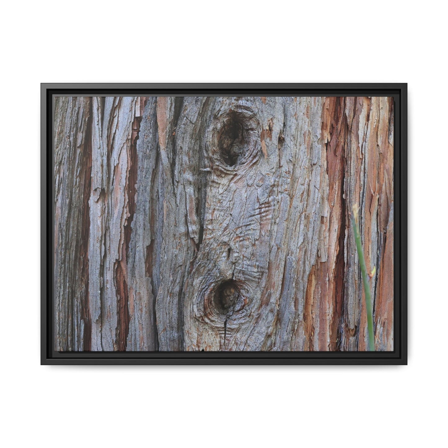 Knotty Nature - Unique Stretched Canvas Wall Art - Art By Earth