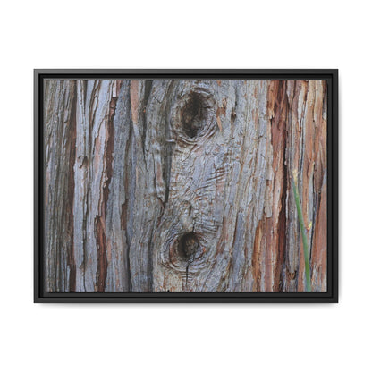 Knotty Nature - Unique Stretched Canvas Wall Art - Art By Earth