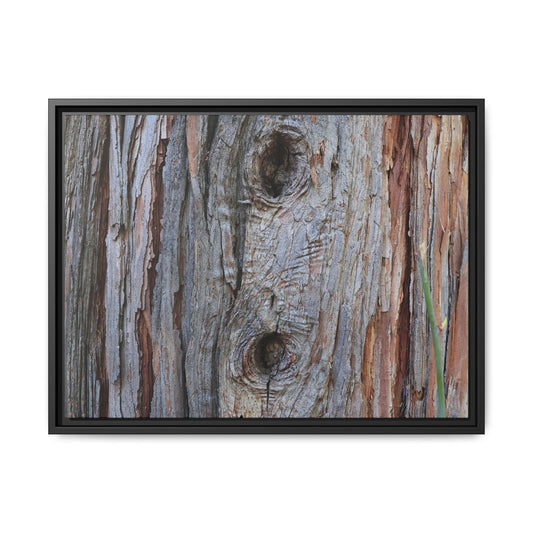 Knotty Nature - Unique Stretched Canvas Wall Art - Art By Earth