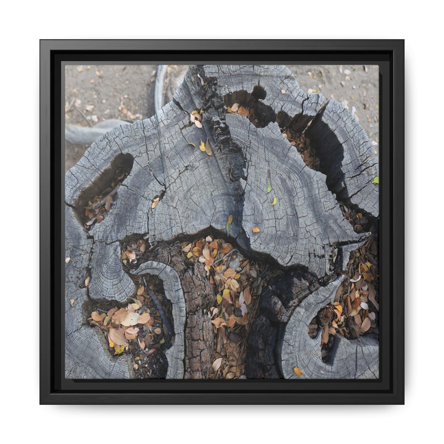 Time's Fractal Memory - Unique Stretched Canvas Wall Art - Art By Earth