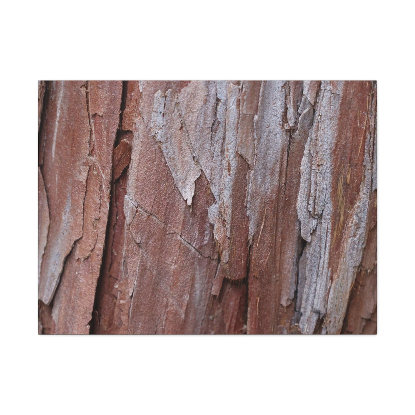 Peeling Paint - Unique Frameless Canvas Wall Art - Art By Earth