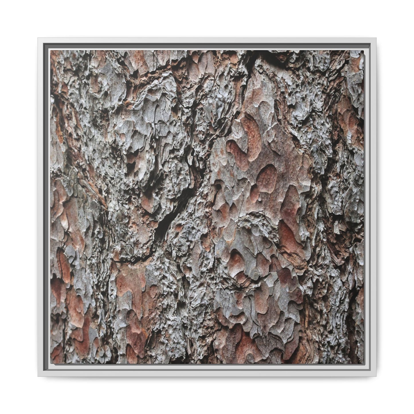 Bark Texture Symphony - Unique Stretched Canvas Wall Art - Art By Earth