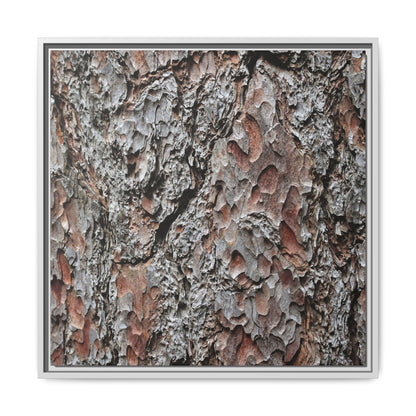 Bark Texture Symphony - Unique Stretched Canvas Wall Art - Art By Earth