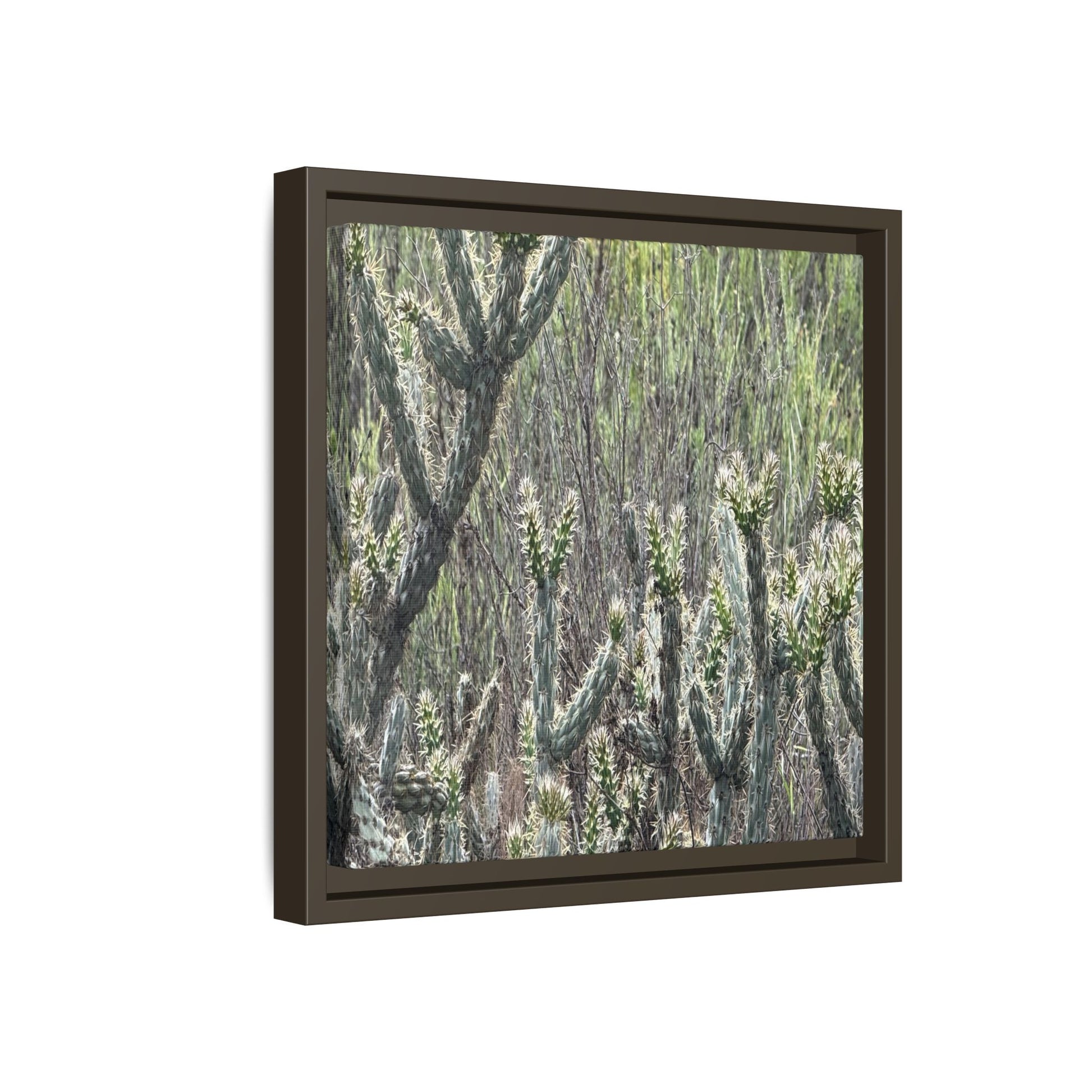 Prickly Paradise - Unique Stretched Canvas Wall Art - Art By Earth