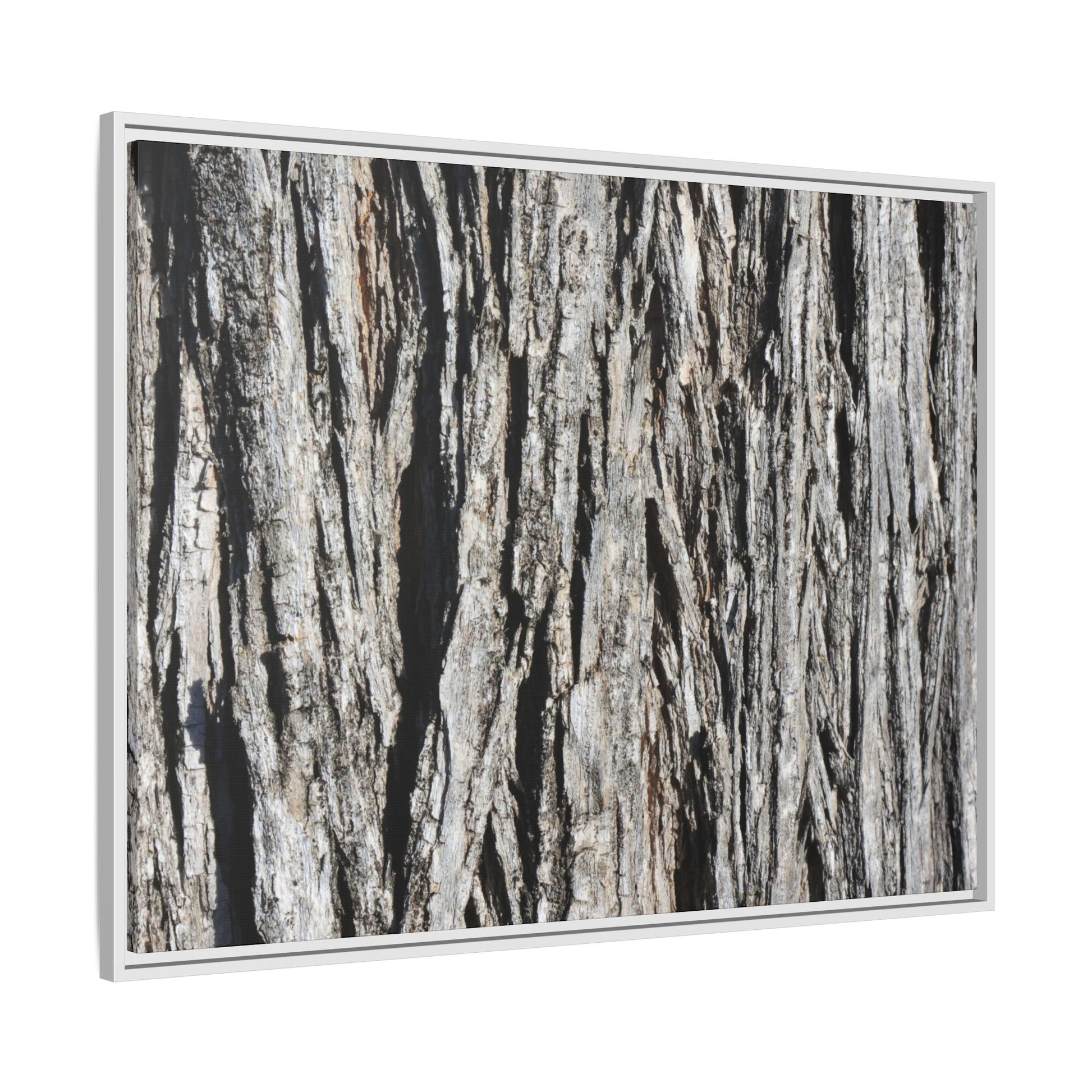 Nature's Abstract - Unique Stretched Canvas Wall Art - Art By Earth