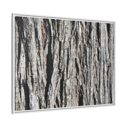 Nature's Abstract - Unique Stretched Canvas Wall Art - Art By Earth