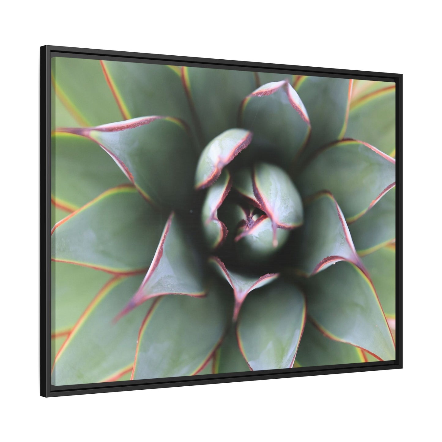 Spiky Elegance - Unique Stretched Canvas Wall Art - Art By Earth