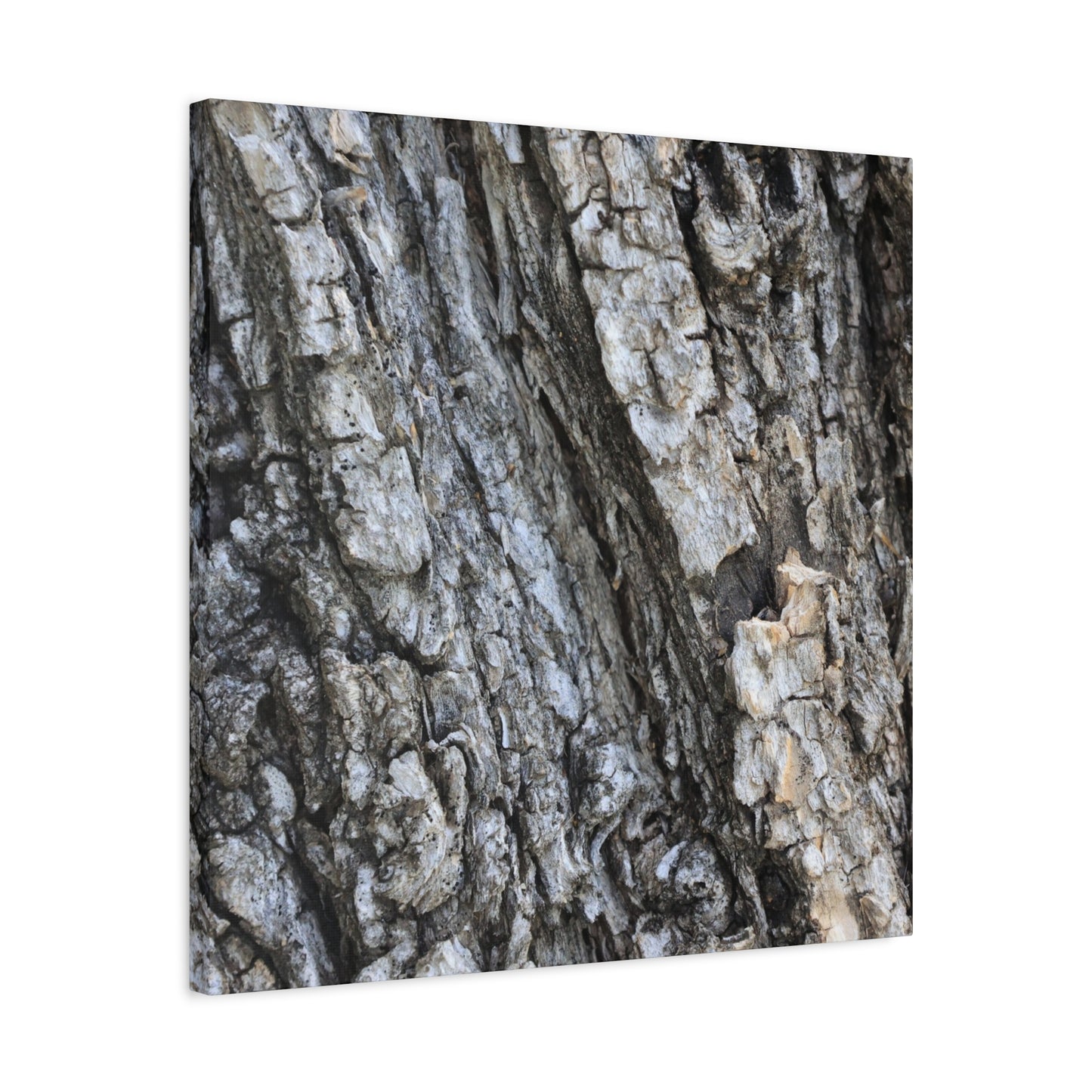 Nature's Rough Embrace - Unique Frameless Canvas Wall Art - Art By Earth