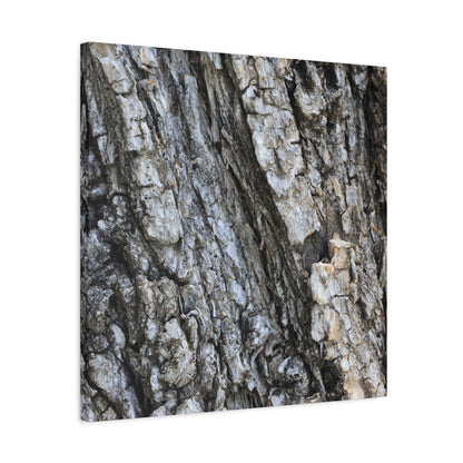 Nature's Rough Embrace - Unique Frameless Canvas Wall Art - Art By Earth