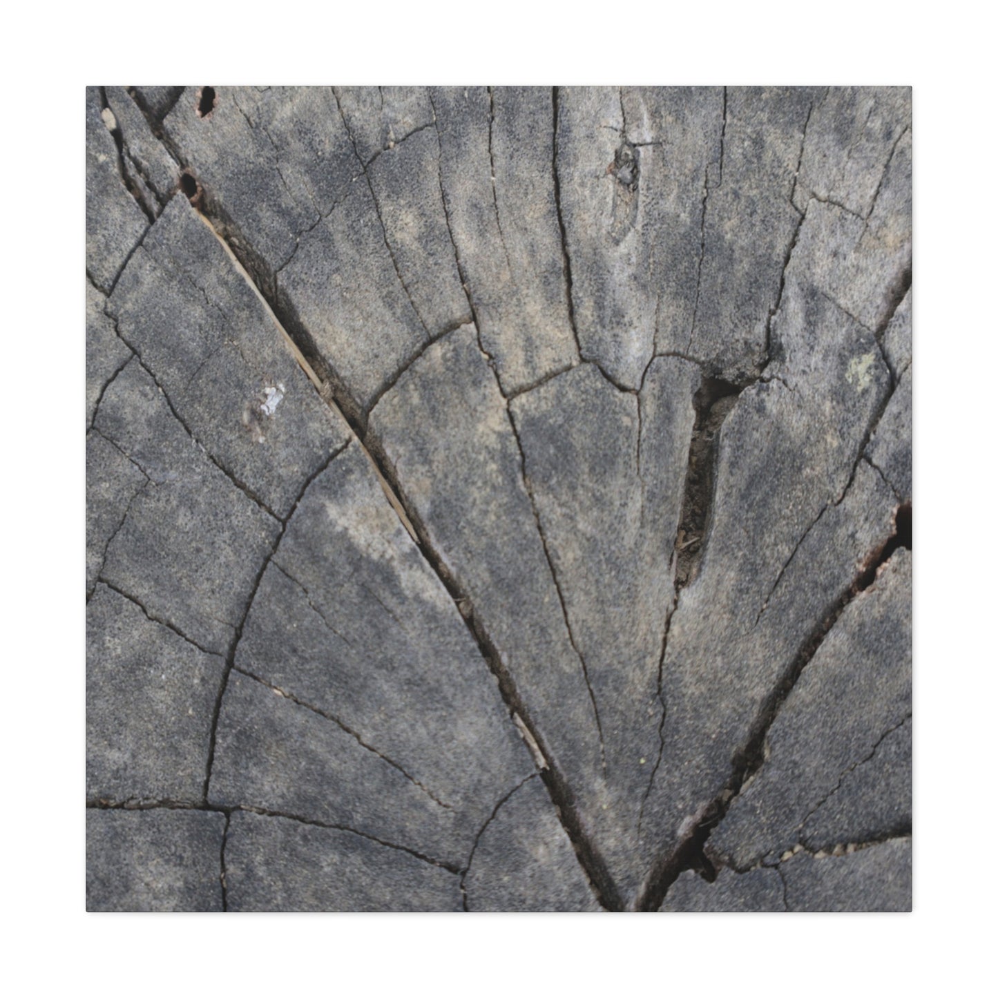 Geological Mosaic - Unique Frameless Canvas Wall Art - Art By Earth