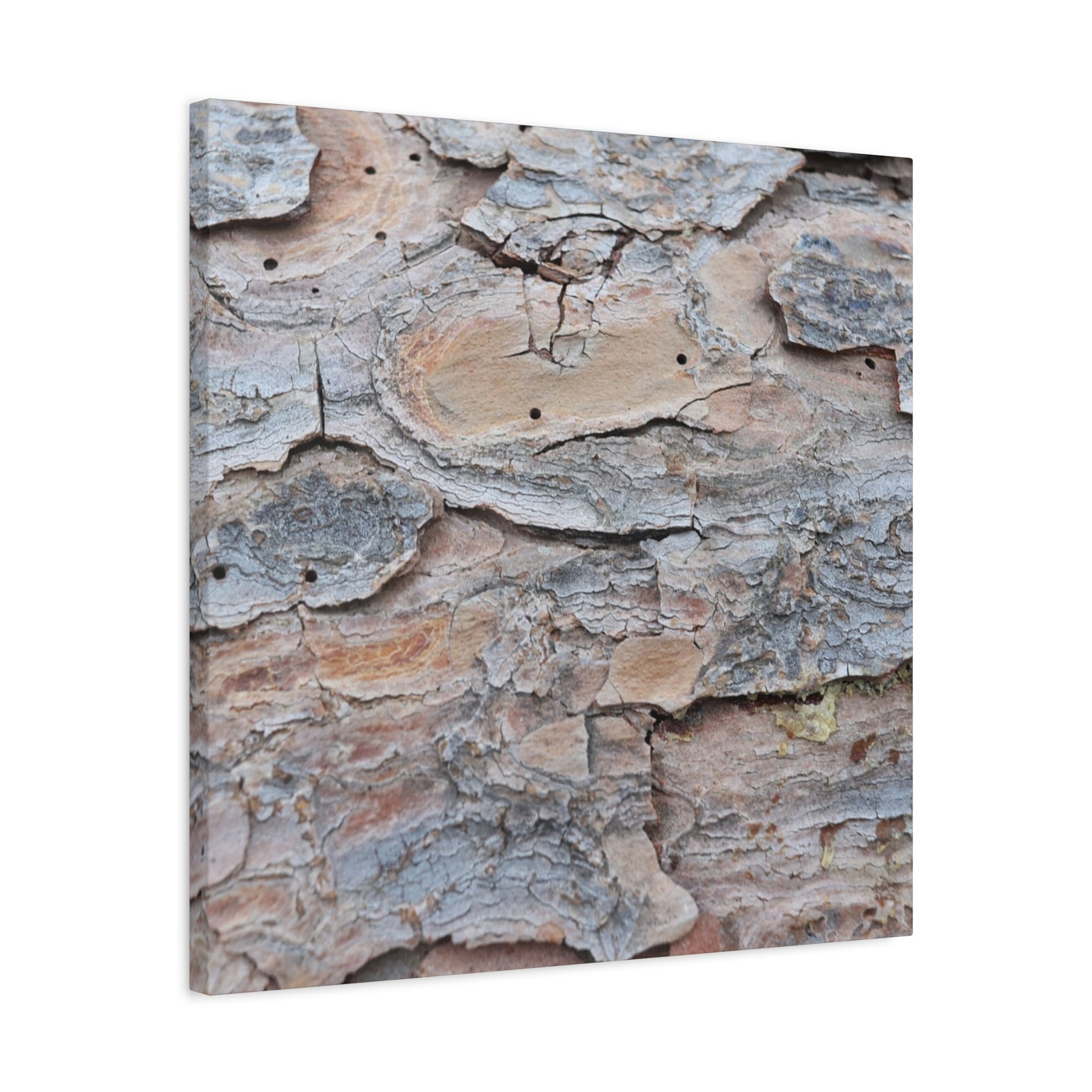 Textural Geology - Unique Frameless Canvas Wall Art - Art By Earth