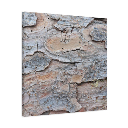 Textural Geology - Unique Frameless Canvas Wall Art - Art By Earth