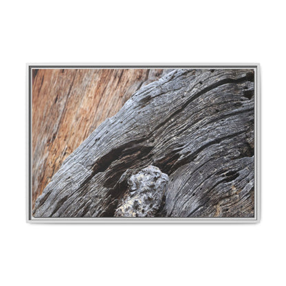 Time's Mark on Timber - Unique Stretched Canvas Wall Art - Art By Earth