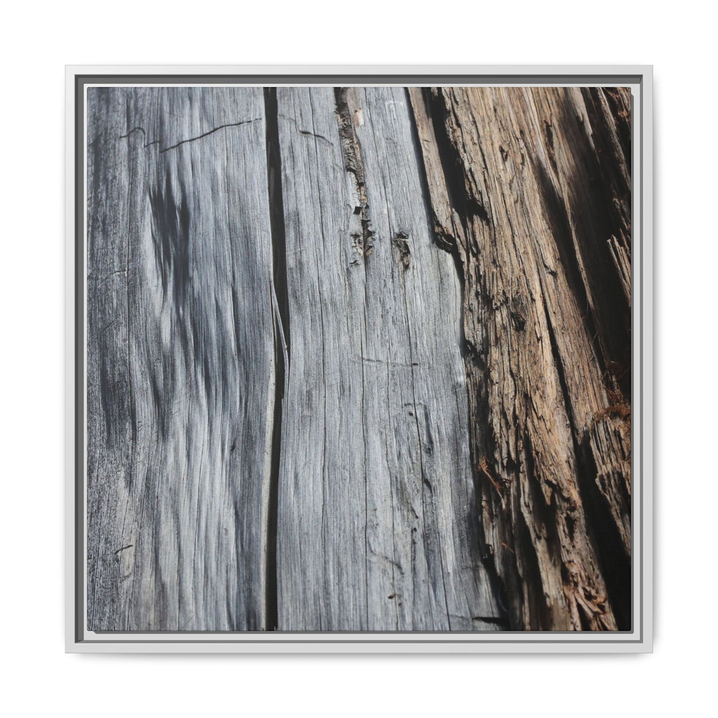 Wood's Lament - Unique Stretched Canvas Wall Art - Art By Earth