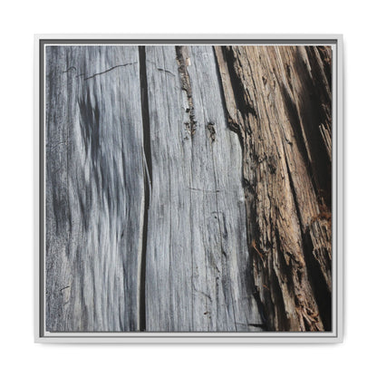 Wood's Lament - Unique Stretched Canvas Wall Art - Art By Earth