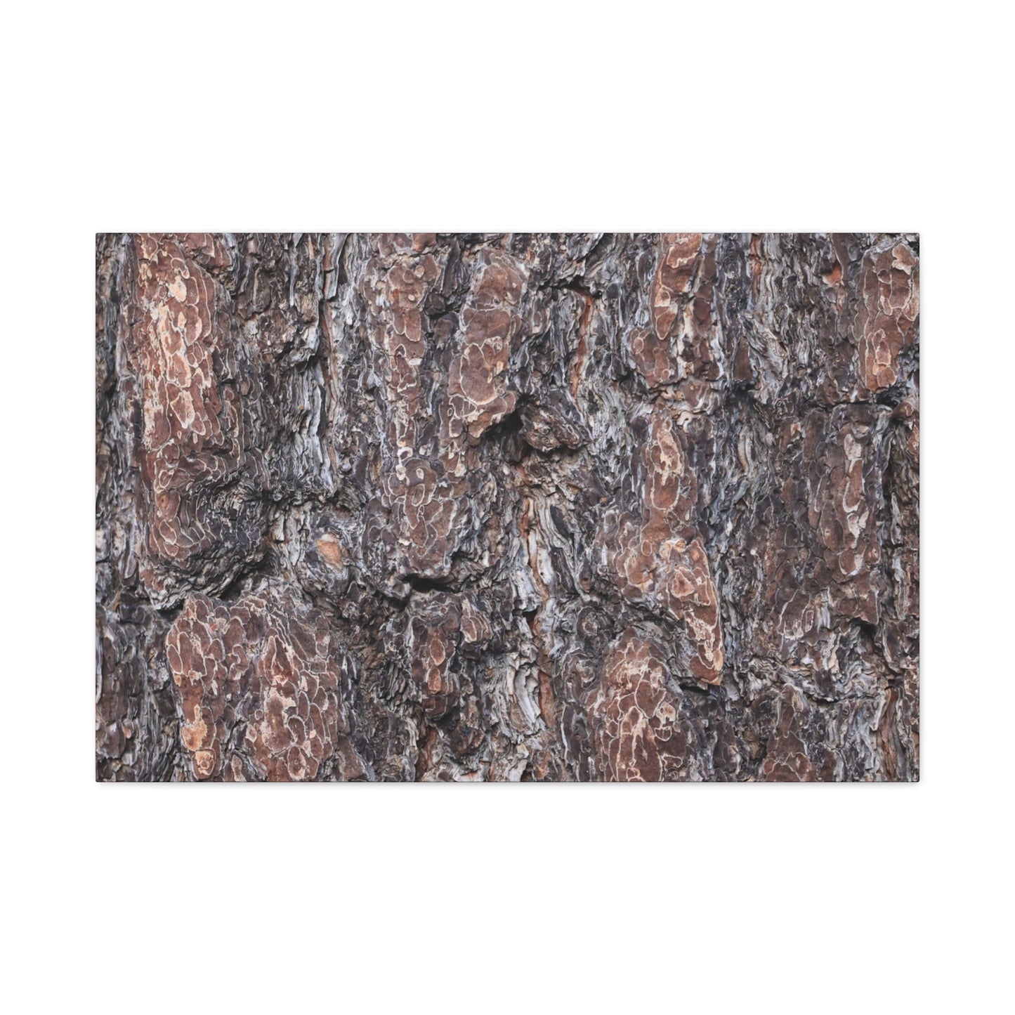 Textured Whispers of an Ancient Tree - Unique Frameless Canvas Wall Art