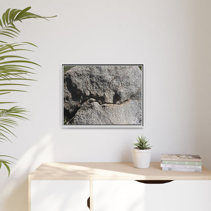 Stone Skull in Desert - Unique Stretched Canvas Wall Art