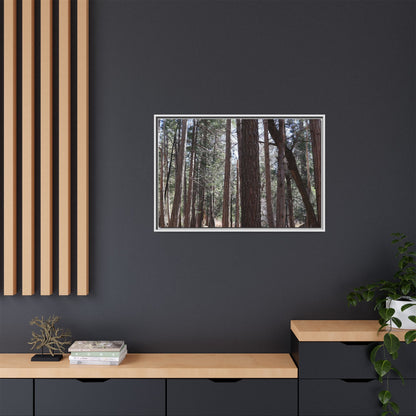Forest Cathedral - Unique Stretched Canvas Wall Art - Art By Earth